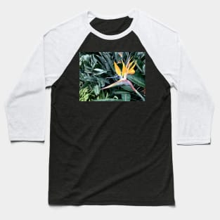 Bird of Paradise Baseball T-Shirt